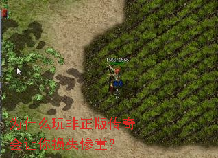 Ϊʲô������洫���������ʧ���أ�