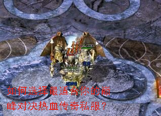 ���ѡ�����ʺ�����۷�Ծ���Ѫ����˽����