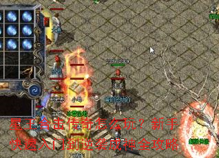 �����ϻ�������ô�棿���ֿ������ŵ���Ϯ����ȫ����