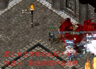 �����ϻ�������ô�棿���ֿ������ŵ���Ϯ����ȫ����