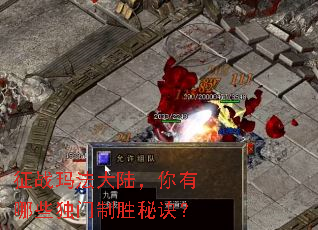征战玛法大陆,你有哪些独门制胜秘诀? 征战玛法大陆,你有哪些独门制胜秘诀?