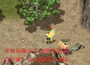 传奇私服高手如何快速攻占沙城?必备秘籍大揭秘 传奇私服高手如何快速攻占沙城?必备秘籍大揭秘