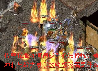 传奇私服如何速成?心法修炼、等级冲刺与战力暴涨的终极秘籍是什么? 传奇私服如何速成?心法修炼、等级冲刺与战力暴涨的终极秘籍是什么?