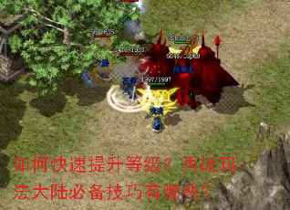 如何快速提升等级?再战玛法大陆必备技巧有哪些? 如何快速提升等级?再战玛法大陆必备技巧有哪些?