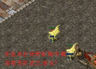 圣言术在传奇新服中真的毫无用武之地吗? 圣言术在传奇新服中真的毫无用武之地吗?