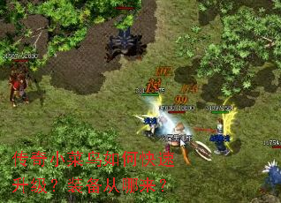 传奇小菜鸟如何快速升级?装备从哪来? 传奇小菜鸟如何快速升级?装备从哪来?
