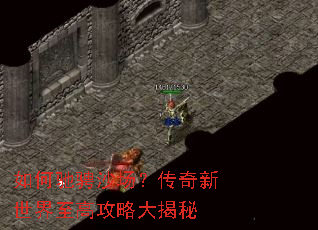 如何驰骋沙场?传奇新世界至高攻略大揭秘 如何驰骋沙场?传奇新世界至高攻略大揭秘