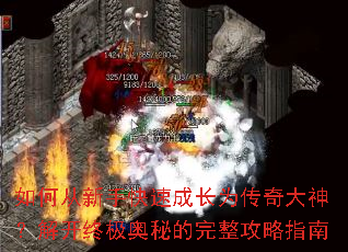 ��δ����ֿ��ٳɳ�Ϊ������񣿽⿪�ռ����ص���������ָ��