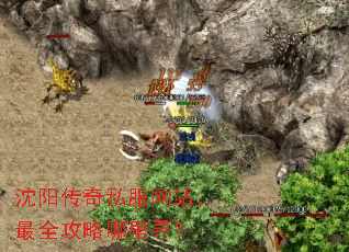 沈阳传奇私服网站,最全攻略哪里寻? 沈阳传奇私服网站,最全攻略哪里寻?