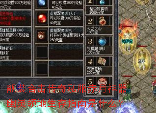 靓装合击传奇私服赤月神器幽灵领地生存指南是什么? 靓装合击传奇私服赤月神器幽灵领地生存指南是什么?