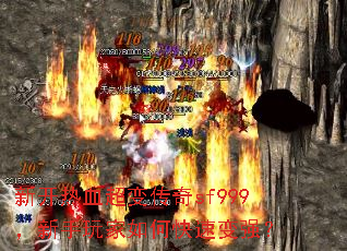 新开热血超变传奇sf999,新手玩家如何快速变强? 新开热血超变传奇sf999,新手玩家如何快速变强?
