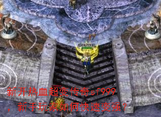 新开热血超变传奇sf999,新手玩家如何快速变强? 新开热血超变传奇sf999,新手玩家如何快速变强?