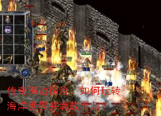 传奇海边探险,如何玩转海洋世界并满载而归? 传奇海边探险,如何玩转海洋世界并满载而归?