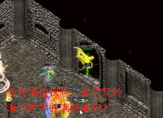 传奇海边探险,如何玩转海洋世界并满载而归? 传奇海边探险,如何玩转海洋世界并满载而归?