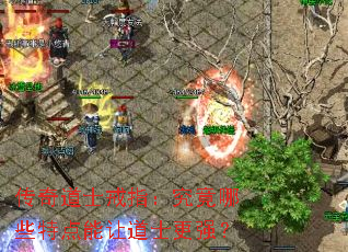 传奇道士戒指:究竟哪些特点能让道士更强? 传奇道士戒指:究竟哪些特点能让道士更强?