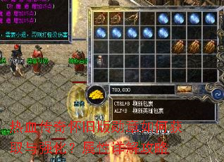 ��Ѫ���滳�ɰ�ѫ����λ�ȡ��ǿ����������⹥��