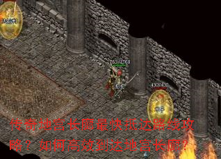 ����ع��������ִ�·�߹��ԣ���θ�Ч����ع����ȣ�