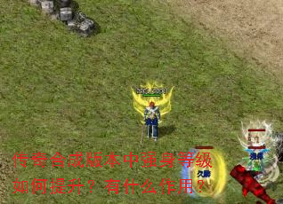 传奇合成版本中强身等级如何提升?有什么作用? 传奇合成版本中强身等级如何提升?有什么作用?