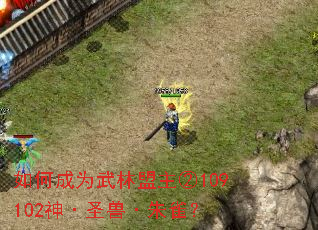 如何成为武林盟主②109102神·圣兽·朱雀? 如何成为武林盟主②109102神·圣兽·朱雀?
