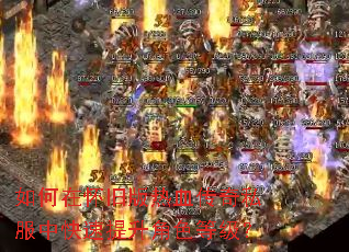 ����ڻ��ɰ���Ѫ����˽���п���������ɫ�ȼ���