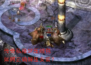 ����˽��SFѹ���������ȷ��ѹ��װ��