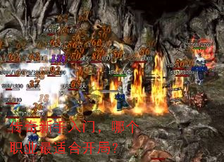 �����������ţ��ĸ�ְҵ���ʺϿ��֣�