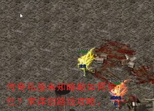 传奇私服未知暗殿如何前往?求详细路线攻略。 传奇私服未知暗殿如何前往?求详细路线攻略。