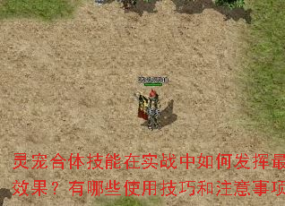 灵宠合体技能在实战中如何发挥最大效果?有哪些使用技巧和注意事项? 灵宠合体技能在实战中如何发挥最大效果?有哪些使用技巧和注意事项?