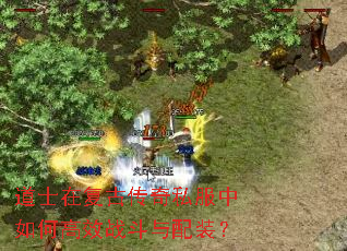 道士在复古传奇私服中如何高效战斗与配装? 道士在复古传奇私服中如何高效战斗与配装?