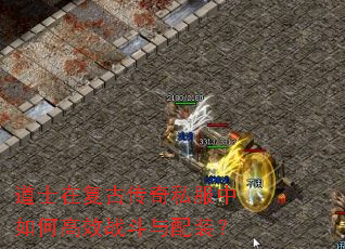 道士在复古传奇私服中如何高效战斗与配装? 道士在复古传奇私服中如何高效战斗与配装?