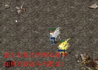 道士在复古传奇私服中如何高效战斗与配装? 道士在复古传奇私服中如何高效战斗与配装?