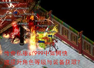 ����˽��sf999����ο���������ɫ�ȼ���װ����ȡ��