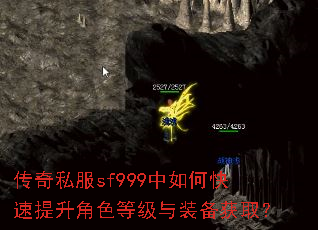 ����˽��sf999����ο���������ɫ�ȼ���װ����ȡ��