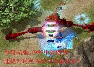 ����˽��sf999����ο���������ɫ�ȼ���װ����ȡ��