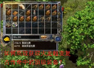 ��θ�Ч��ȡ�������临�Ŵ����еĶ���װ����