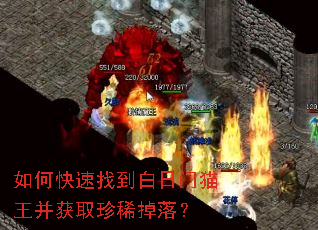如何快速找到白日门猫王并获取珍稀掉落? 如何快速找到白日门猫王并获取珍稀掉落?