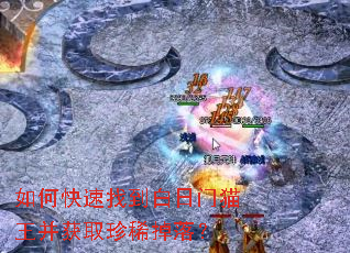 如何快速找到白日门猫王并获取珍稀掉落? 如何快速找到白日门猫王并获取珍稀掉落?