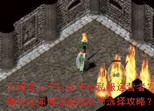 Ϊ�ιٷ����������˽����Ӫ�ߣ�˽�������ι�ܷ�����ѡ���ԣ�