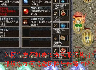 Ϊ�ιٷ����������˽����Ӫ�ߣ�˽�������ι�ܷ�����ѡ���ԣ�