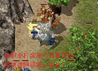 单职业打金服今日首区如何快速赚取第一桶金? 单职业打金服今日首区如何快速赚取第一桶金?