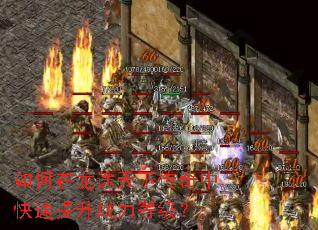 如何在龙途天下传奇中快速提升战力等级? 如何在龙途天下传奇中快速提升战力等级?