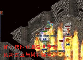 如何快速获取傲世传奇顶级勋章与稀有称号? 如何快速获取傲世传奇顶级勋章与稀有称号?
