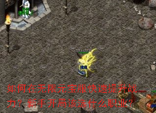 如何在无限元宝服快速提升战力?新手开局该选什么职业? 如何在无限元宝服快速提升战力?新手开局该选什么职业?