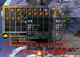 如何快速提升等级与获取顶级装备?纵横服最强攻略揭秘 如何快速提升等级与获取顶级装备?纵横服最强攻略揭秘