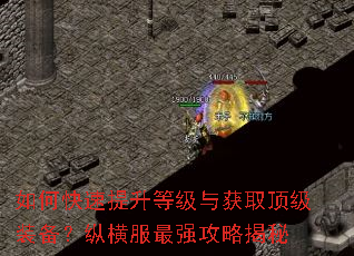 如何快速提升等级与获取顶级装备?纵横服最强攻略揭秘 如何快速提升等级与获取顶级装备?纵横服最强攻略揭秘
