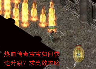 热血传奇宝宝如何快速升级?求高效攻略 热血传奇宝宝如何快速升级?求高效攻略