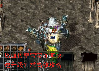 热血传奇宝宝如何快速升级?求高效攻略 热血传奇宝宝如何快速升级?求高效攻略