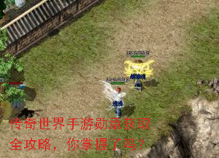 传奇世界手游勋章获取全攻略,你掌握了吗? 传奇世界手游勋章获取全攻略,你掌握了吗?
