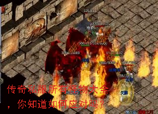 传奇私服所有怪物大全,你知道如何应对吗? 传奇私服所有怪物大全,你知道如何应对吗?