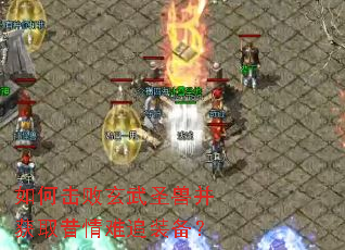 如何击败玄武圣兽并获取昔情难追装备? 如何击败玄武圣兽并获取昔情难追装备?